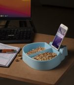 ظرف تنقلات کفشدوزک