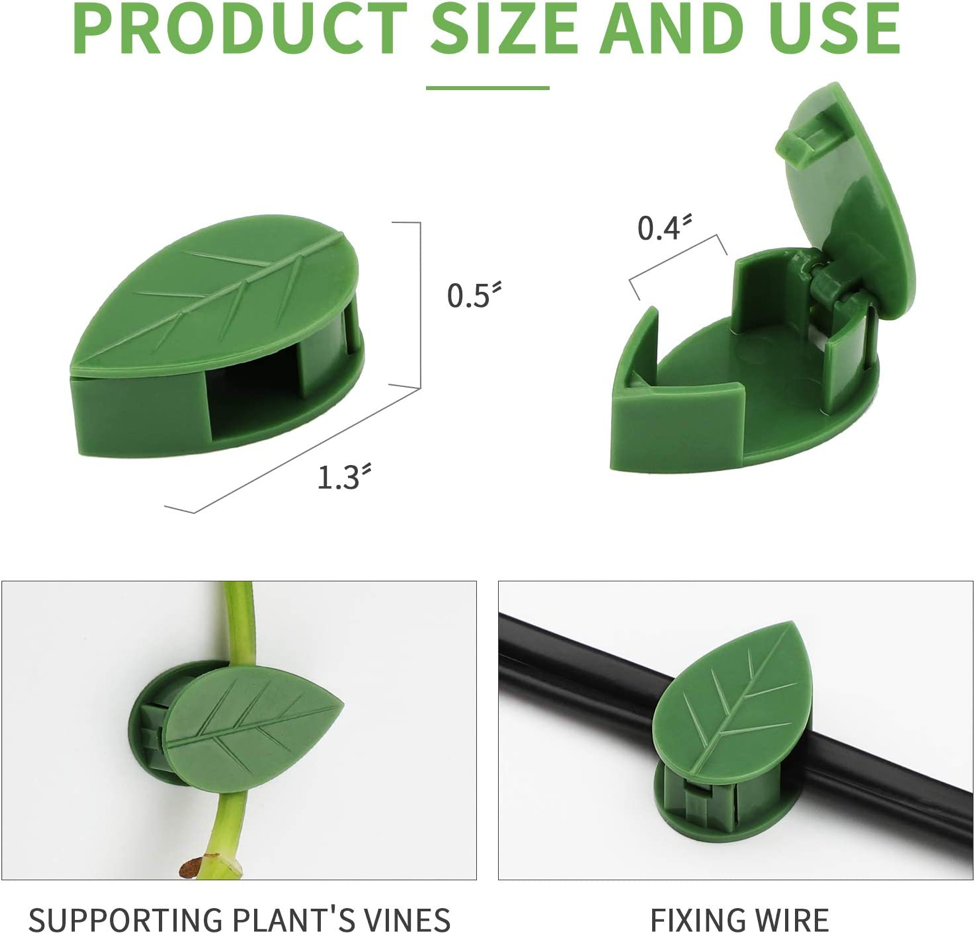 کلیپس نگهدارنده گیاه رونده