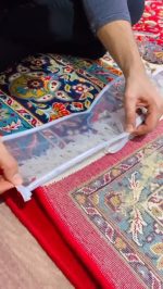 محافظ ریشه فرش دوازده متری